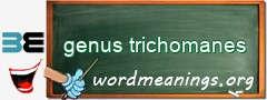 WordMeaning blackboard for genus trichomanes